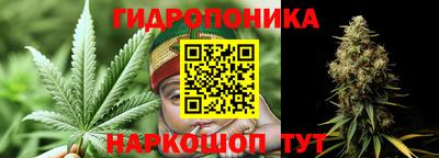 стаф Краснознаменск